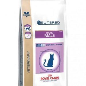 Royal Canin Vec Cat Young Male 1