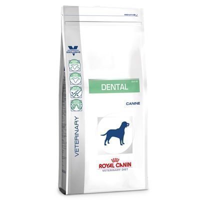Royal Canin Veterinary Diet - Dental DLK 22 - säästöpakkaus: 2 x 14 kg