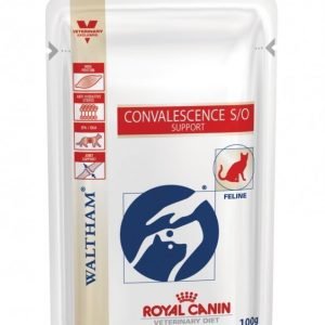 Royal Canin Veterinary Diets Cat Convalescence Support Pouch 12x100 G