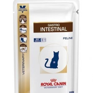 Royal Canin Veterinary Diets Cat Intestinal Pouch 12x100 G