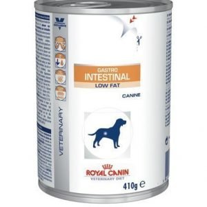 Royal Canin Veterinary Diets Dog Intestinal Low Fat Wet 12x410 G