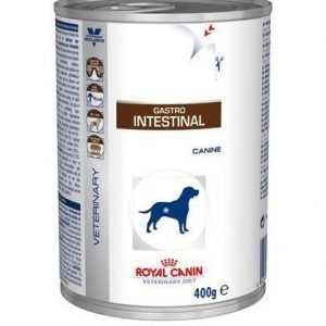 Royal Canin Veterinary Diets Dog Intestinal Wet 12x400 G