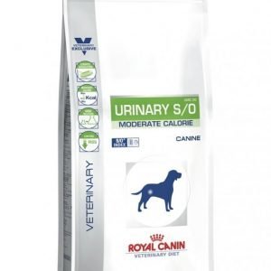 Royal Canin Veterinary Diets Dog Urinary S / O Moderate Calorie 12 Kg