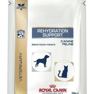 Royal Canin Veterinary Diets Rehydration Support 15x29 G