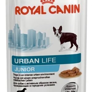 Royal Canin Wet Urban Life Junior 10x150g