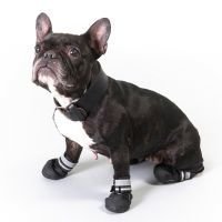 S & P Boots -koirankengät - koko M (4)