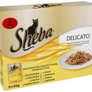 Sheba Delicato Siipikarjalajitelma 8 X 85 G Kissan Annospakkaukset