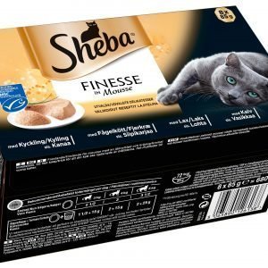 Sheba Finesse Mousse Valikoidut 8 X 85 G Kissan Annospakkaukset