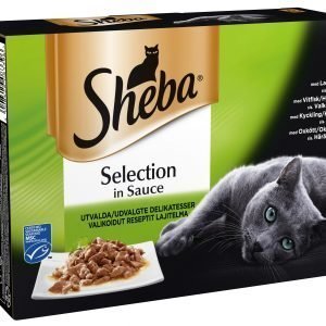 Sheba Selection Valikoidut Reseptit 8 X 85 G Kissan Annospakkaukset