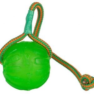 Starmark Swing & Fling Chewball