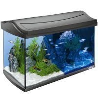 Tetra AquaArt LED Aquarium 60 L - P 61