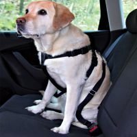 Trixie-autovaljaat koiralle - M-koko: rinnanympärys 50-70 cm