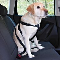 Turvavaljaat / turvavyö autoon koiralle (viisi eri kokoa)