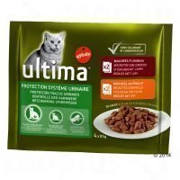 Ultima Cat Urinary - säästöpakkaus: 24 x 85 g