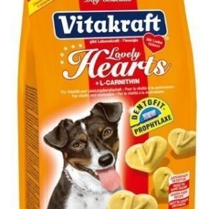 Vitakraft Lovely Hearts Hundkex 300g