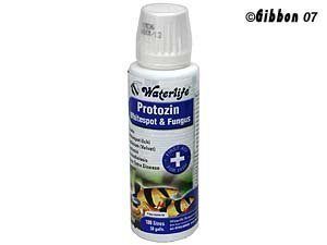 Waterlife Protozin 100 Ml