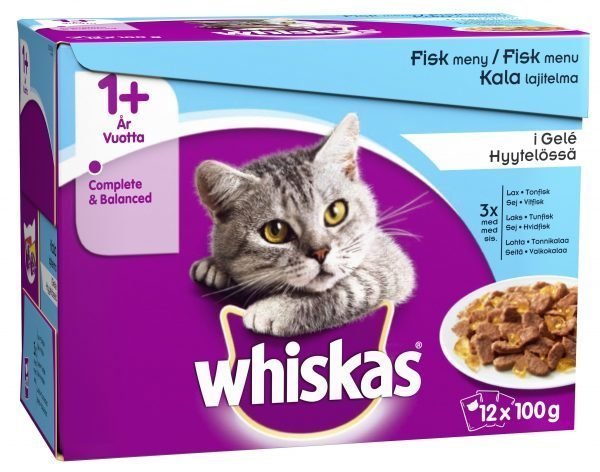 Whiskas 1+ 12 X 100 G Kalalajitelma Hyytelössä