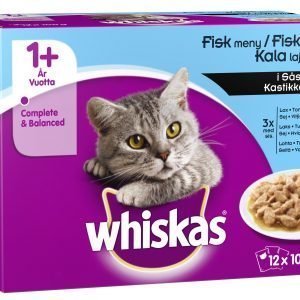 Whiskas 1+ Kalalajitelma Kastikkeessa 12 X 100 G Kissan Annospakkaus