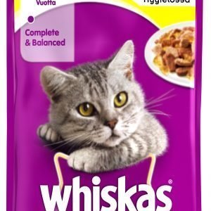 Whiskas 1+ Kanaa Hyytelössä 100 G Kissan Annospakkaus