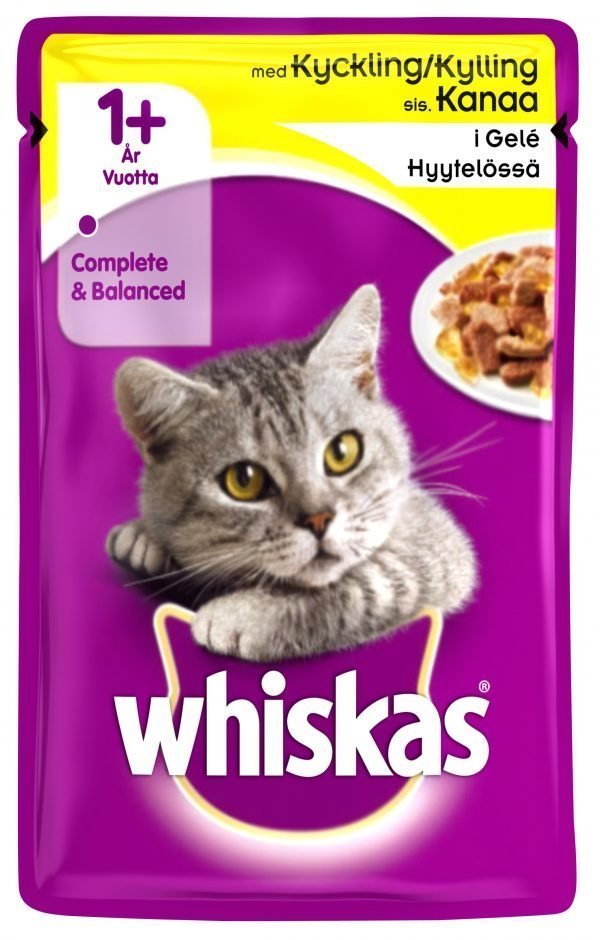 Whiskas 1+ Kanaa Hyytelössä 100 G Kissan Annospakkaus