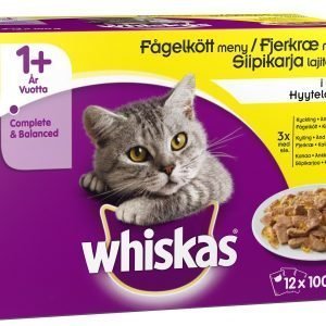 Whiskas 1+ Siipikarja Hyytelössä 12 X 100 G Kissan Annospakkaus