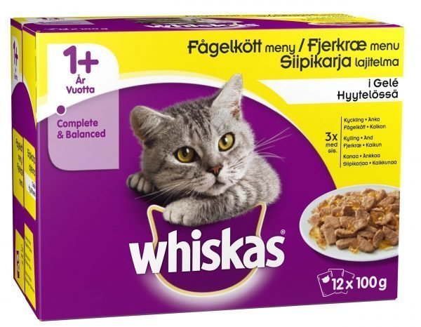 Whiskas 1+ Siipikarja Hyytelössä 12 X 100 G Kissan Annospakkaus