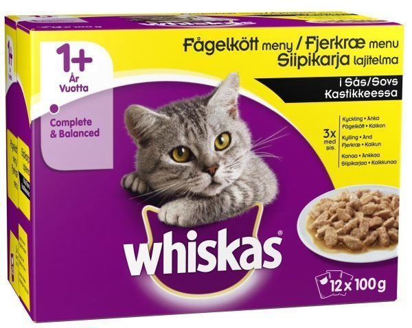 Whiskas 1+ Siipikarja Kastikkeessa 12 X 100 G Kissan Annospakkaus