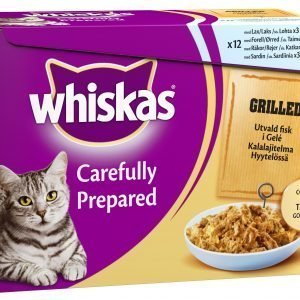 Whiskas Grillattua Kalaa Hyytelössä 12 X 85 G Kissan Annospakkaus