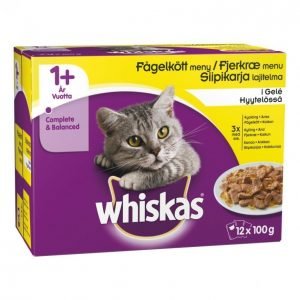 Whiskas Kissanruoka 12x100g 1+ Siipikarja Hyyt