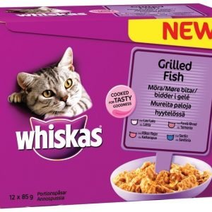 Whiskas Lajitelmapakkaus Grillattu Kala Hyytelössä 12 X 85 G