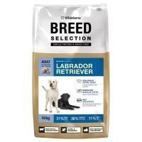 Wildsterne Breed Selection Labrador Retriever - 2