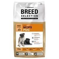 Wildsterne Breed Selection Pug - 2