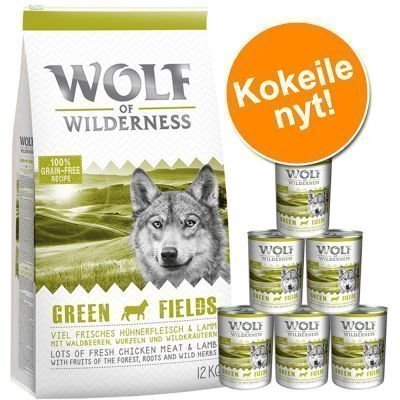 Wolf of Wilderness -kokeilupakkaus: kuiva- ja märkäruoka - paketti II