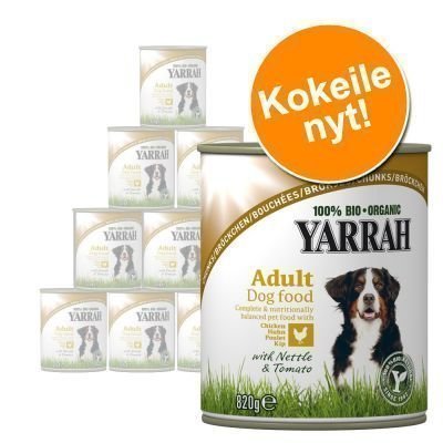 Yarrah-kokeilupakkaus 6 x 400/405 g